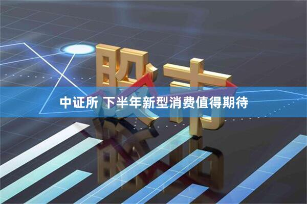 中证所 下半年新型消费值得期待