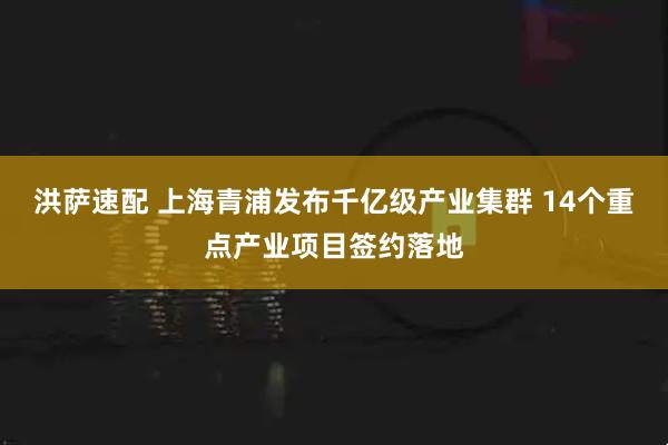 洪萨速配 上海青浦发布千亿级产业集群 14个重点产业项目签约落地