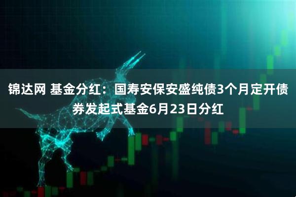 锦达网 基金分红：国寿安保安盛纯债3个月定开债券发起式基金6月23日分红