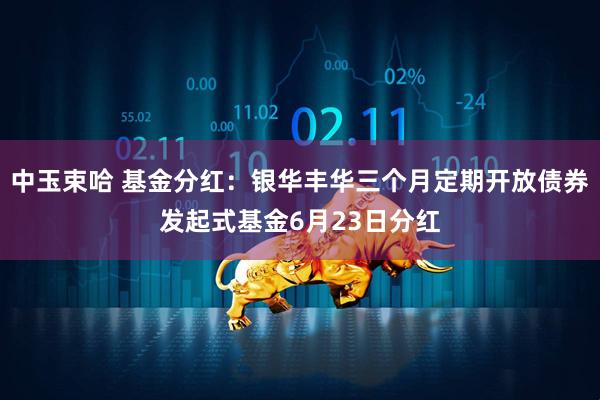 中玉束哈 基金分红：银华丰华三个月定期开放债券发起式基金6月23日分红